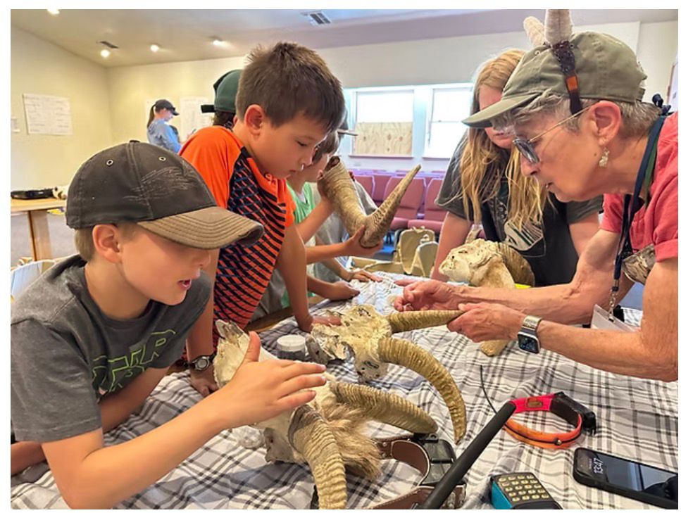 Students in a STEM workshop